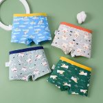 Boys Cotton Boxer Briefs Dinosaur Polar Bear Toddler Kids Underwear 12 Pack - Image 2