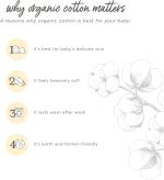 Burt's Bees Baby Toddler Girls' Underwear Set of 5 - Solids, Stripes,Prints, Tag-Free with Sizes for 2T to 8 Years Old - Image 4