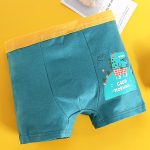 Boys Cotton Boxer Briefs Dinosaur Polar Bear Toddler Kids Underwear 12 Pack - Image 5