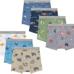 Hanes Toddler Boys' Potty Trainer Underwear, Light Leaks Boxer Briefs & Briefs Available, 6 & 7 Pack