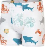 Hanes Toddler Boys' Organic Cotton Underwear, Pure Comfort 100% Cotton Boxer Briefs Available, 10 & 7 Pack - Image 2